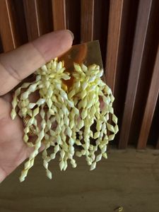 Unique Beaded Dangling Earrings