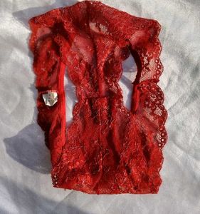 Sheer Lace Red Briefs
