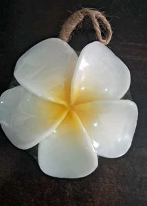 Most Beautiful Floral Soaps Imported buy