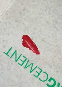 JS Beauty Matte Majesty Liquid Lipstick