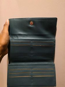 Baggit Teal Green Wallet