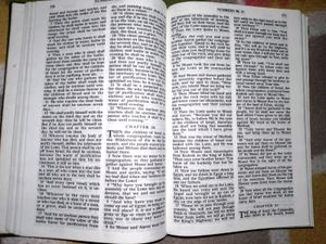 English Bible