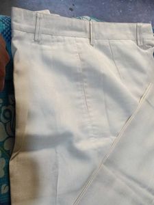 Classic Beige Casual Pants