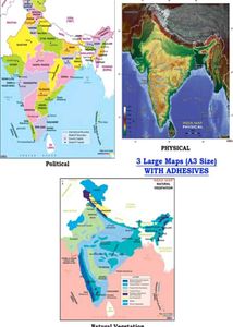 India Maps- Political, Physical, Vegetation Combo3