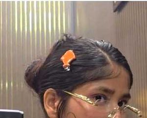 Cute Handmade Hair Clips