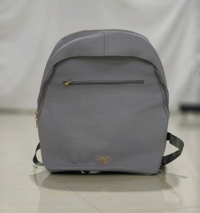 Baggit L Greedy purple solid laptop backpack