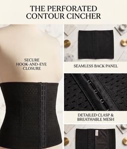 Black Mesh Waist Cincher