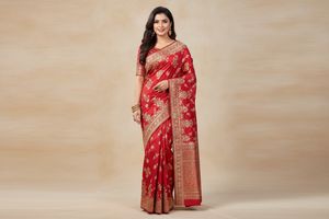 Designer Embroidered Sarees Collection