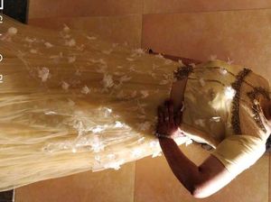Elegant Cream Gown