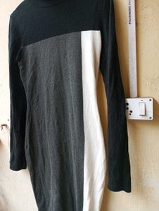 Bodycon ColorBlock Turtleneck Dress (Women)