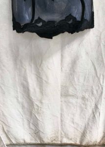 28279. Lace Trimmed Sheer Shapewear