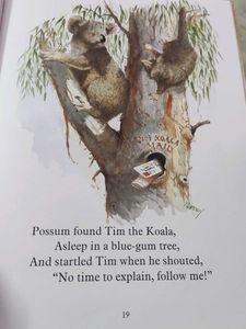 Teddy's Night Lost In The Bush Book-hard cover