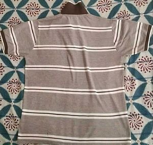 Men's Striped Polo T-Shirt