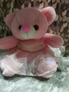 Cute Pink Teddy Bear Toy wearing skirt
