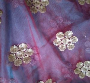 Embellished Saree Border