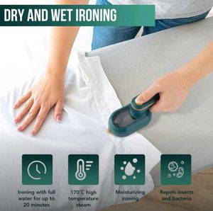 Portable Mini Steam Iron