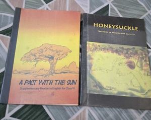 Class VI English Books