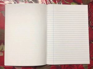 SET OF 3 INTERLEAVED NOTEBOOKS FOR SALE