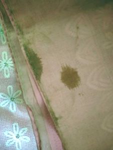 Pink Embroidered Saree