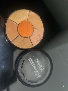 Insight Pro Concealer Palette