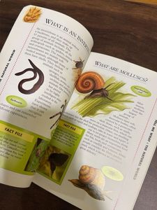 Tell Me What? Book - Fun Facts for Kids