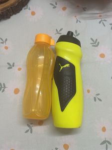 Stylish Water Bottles - Tupperware & Puma