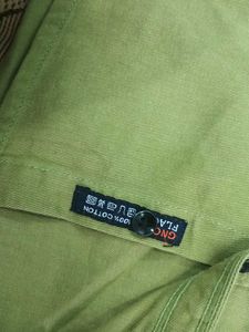 Men's Light Green Casual Shirt