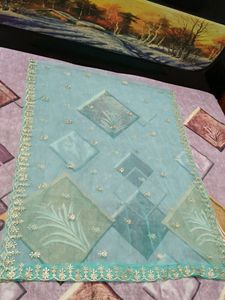 Beautiful Net Festive Dupatta