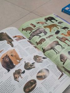 DK Illustrated Family Encyclopedia Vol 9