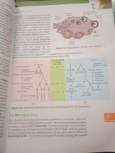 Biology Textbook for Class XII