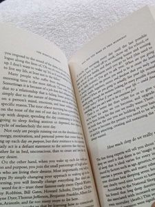 The Miracle Morning Book