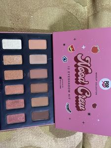 MyGlamm Mood Crew Eyeshadow Kit new