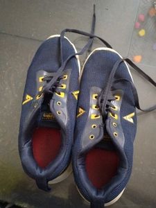 Stylish Blue &amp; Gold Sneakers