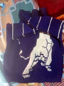 Hand made Knit Sweater with Dog Gr