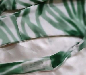 Stylish Green Zebra Print Bikini panty