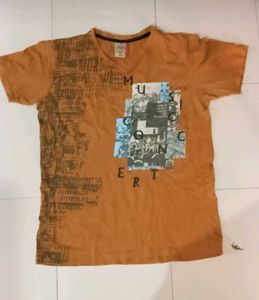 Men's Graphic Print T-Shirt