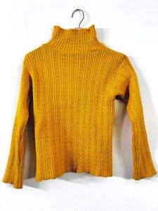 High Neck Woman winter Sweater