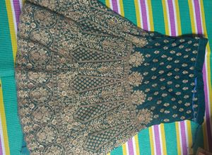 Emerald Green Velvet Lehenga Choli