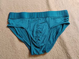 Puma Men's Briefs - Teal