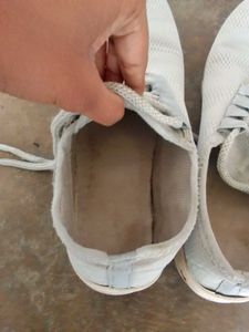 Men's Casual Shoes