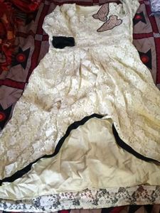 Elegant Lace Ethnic Gown