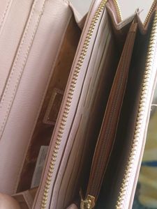 Blush Pink Crossbody Wallet