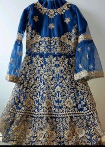 Royal Blue &amp; Gold Embroidered Lehenga Choli