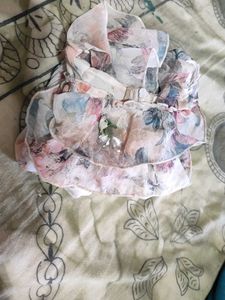 Sheer Floral Ruffle Mini Dress