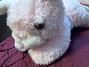 Cute Plush Pink Pillow Pal