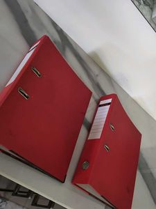 Red Lever Arch Files (2 pcs)