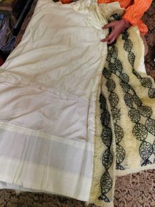 Elegant indo wastern cindrella skirt