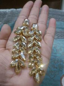 Beautiful earring