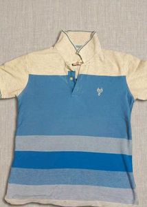 Blue Striped Polo T-Shirt