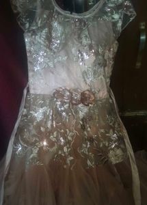 princess style gown